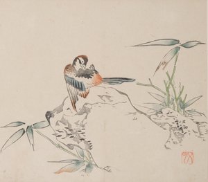 石竹斋的页面。 作者 不明