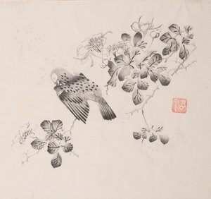 石竹斋的页面。 作者 不明