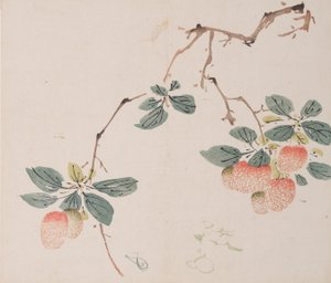 石竹斋的页面。 作者 不明