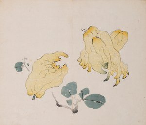 石竹斋的页面。 作者 不明