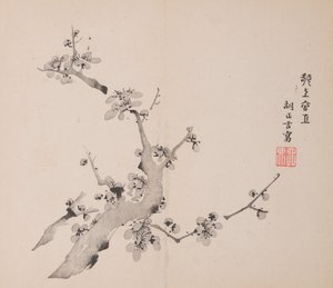 石竹斋的页面。 作者 不明