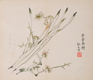 石竹斋的页面。 作者 不明