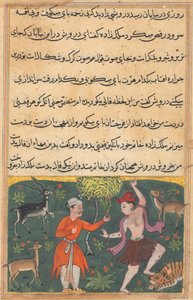 鹦鹉图蒂娜玛的故事中的页面：第十八夜：王子遇见...，c。 1560。 作者 不明