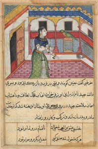 鹦鹉Tuti-nama的故事中的页面：42秒晚上：鹦鹉地址...，c。 1560。 作者 不明