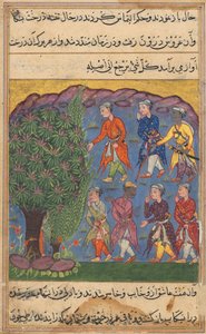 鹦鹉图蒂娜玛的故事中的页面：第六夜：七个人争夺财产……，c。 1560。 作者 Unbekannt