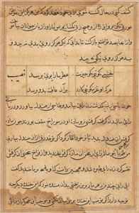 鹦鹉的故事》中的一页Tuti-nama：文本页，约1560年。 作者 不明