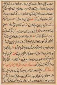 鹦鹉的故事》中的一页Tuti-nama：文本页，约1560年。 作者 不明