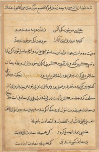 鹦鹉的故事》中的一页Tuti-nama：文本页，约1560年。 作者 不明