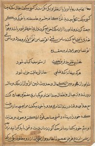 鹦鹉的故事》中的一页Tuti-nama：文本页，约1560年。 作者 不明