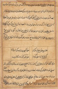 鹦鹉的故事》中的一页Tuti-nama：文本页，约1560年。 作者 不明
