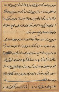 鹦鹉的故事》中的一页Tuti-nama：文本页，约1560年。 作者 不明