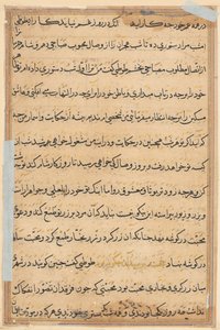 鹦鹉的故事》中的一页Tuti-nama：文本页，约1560年。 作者 不明