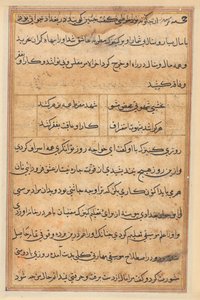 鹦鹉的故事》中的一页Tuti-nama：文本页，约1560年。 作者 不明