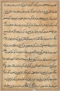 鹦鹉的故事》中的一页Tuti-nama：文本页，约1560年。 作者 不明