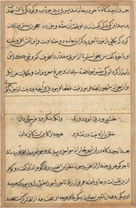 鹦鹉的故事》中的一页Tuti-nama：文本页，约1560年。 作者 不明