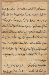 鹦鹉的故事》中的一页Tuti-nama：文本页，约1560年。 作者 不明