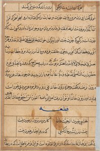鹦鹉的故事》中的一页Tuti-nama：文本页，约1560年。 作者 不明