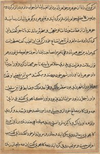 鹦鹉的故事》中的一页Tuti-nama：文本页，约1560年。 作者 不明