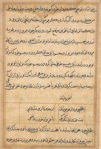鹦鹉的故事》中的一页Tuti-nama：文本页，约1560年。 作者 不明