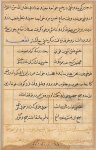 鹦鹉的故事》中的一页Tuti-nama：文本页，约1560年。 作者 不明
