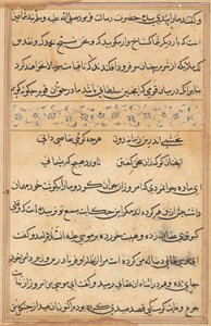 鹦鹉的故事》中的一页Tuti-nama：文本页，约1560年。 作者 不明