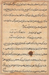 鹦鹉的故事》中的一页Tuti-nama：文本页，约1560年。 作者 不明