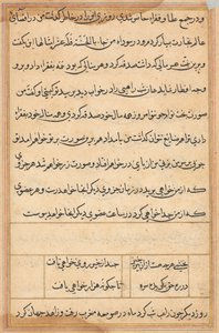 鹦鹉的故事》中的一页Tuti-nama：文本页，约1560年。 作者 不明