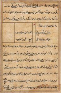 鹦鹉的故事》中的一页Tuti-nama：文本页，约1560年。 作者 不明