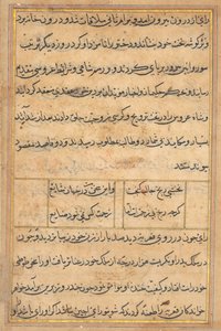 鹦鹉的故事》中的一页Tuti-nama：文本页，约1560年。 作者 不明