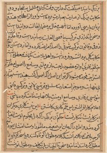 鹦鹉的故事》中的一页Tuti-nama：文本页，约1560年。 作者 不明