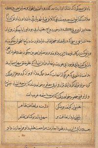 鹦鹉的故事》中的一页Tuti-nama：文本页，约1560年。 作者 不明