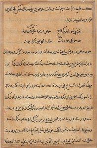 鹦鹉的故事》中的一页Tuti-nama：文本页，约1560年。 作者 不明