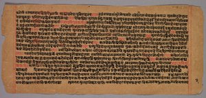 吉安娜手稿的页面，1400-1500年代。 作者 不明