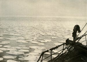 1909年，罗斯海的煎饼冰，1909年。 作者 不明