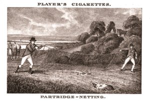 Partridge-Netting，1924年。 作者 不明