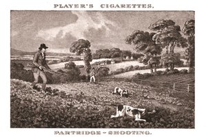 Partridge-Shooting，1924年。 作者 不明
