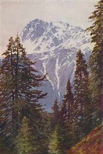 1924年在喜马拉雅山山顶 作者 不明