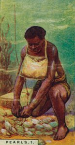 Pearls 1.锡兰的本地潜水员在工作，1928年 作者 不明