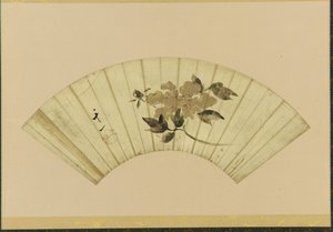 牡丹，19世纪初。 作者 不明