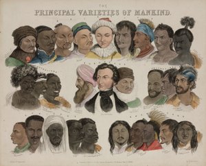 相貌“人类的主要品种”，1850 年 5 月 3 日 作者 不明