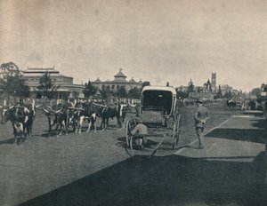彼得马里茨堡，摄于1900年。 作者 不明