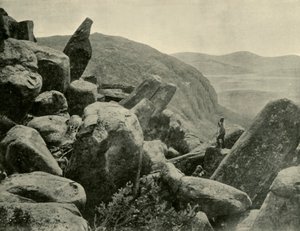 惠灵顿山的Pinnacle＆Organ Pipes，1901年。 作者 不明