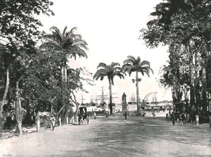 d&39;Armes广场，毛里求斯路易港，1895年。 作者 不明