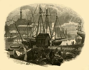 普尔港，1898年。 作者 不明