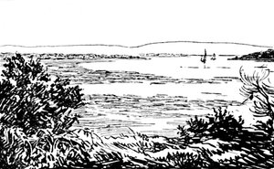 普尔港，1929年 作者 不明