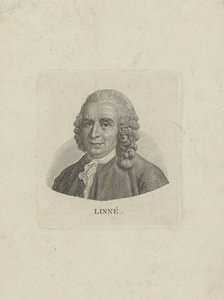 卡尔·林奈肖像1707-1778，c。 1780年。 作者 不明
