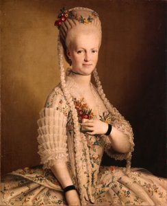 莎拉·格里（Sarah Greigh）的肖像17521793，塞缪尔·格里海军上将的妻子，1775年