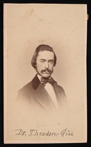 西奥多-尼古拉斯-吉尔的肖像，1837-1914年，约1860年代。 作者 不明