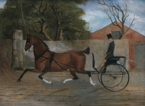 一位绅士的肖像在马车上，ca。 1850-60。