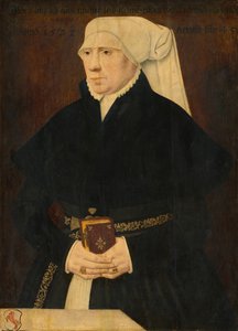 一位女士的肖像，1532年。 作者 不明